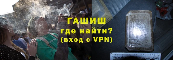 spice Богданович