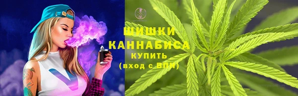 прущий лед Белокуриха