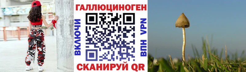 Галлюциногенные грибы MAGIC MUSHROOMS  Чудово 